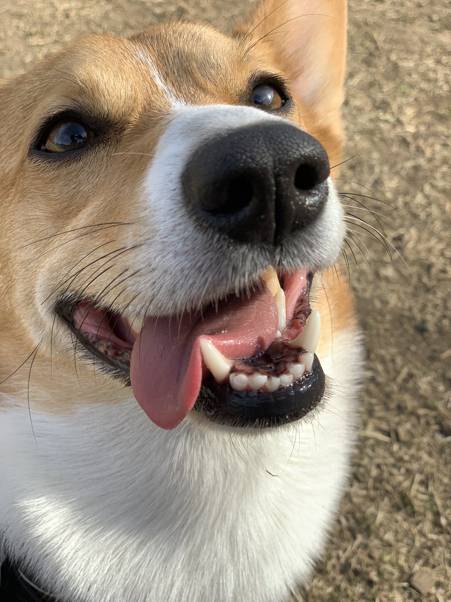 mjasami1's tweet photo. こいちゃんスマイル💗 https://t.co/CQrnx2U8PF
