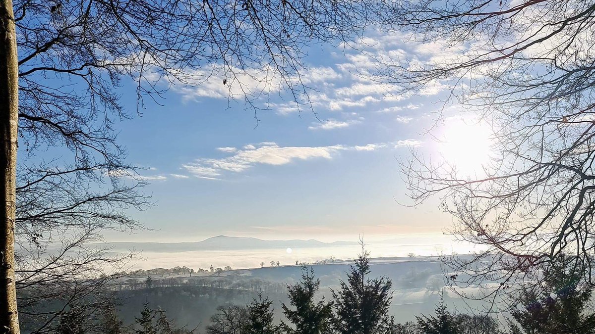 TSCeramicDesign's tweet photo. Love frosty mornings like this #lifeofapotter #lovewhereyoulive #mindfulness #photooftheday #honoured #humbled #inaweofnature #britishwildlife #lockdownmagic #liftyourmood #specialtime #dailymotivation #MidWales #taramics #standstillawhileandstare #fresh #crisp #frostymorning https://t.co/egEw9eZZH2