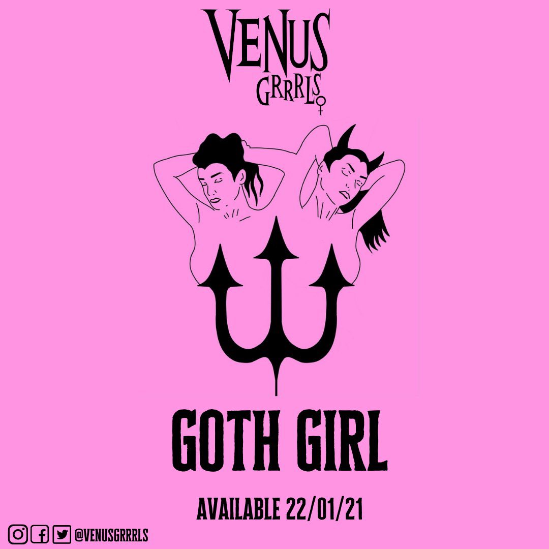 VENUS GRRRLS tweet media