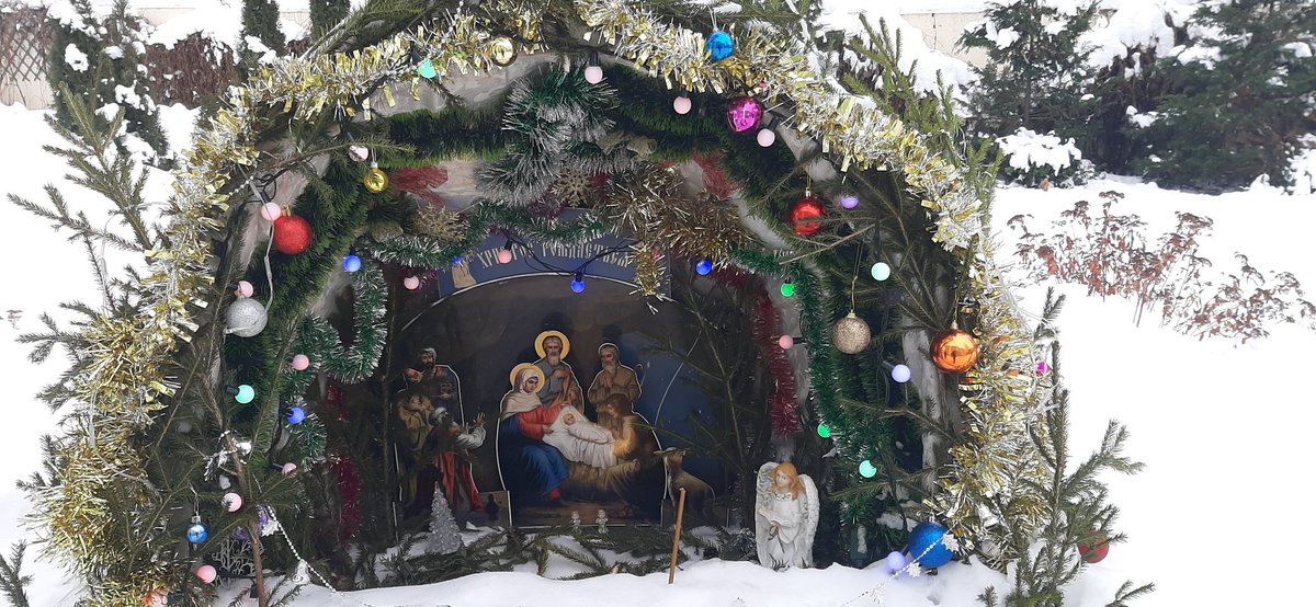 Дмитрий Сыродеев tweet media