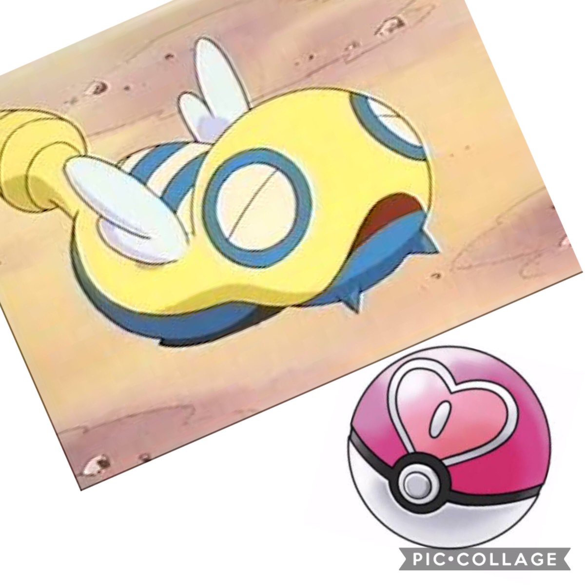 ট ইট র どどど ポケモン垢 そのノコッチはかわいくないです 笑笑 ট ইট র どどど ポケモン垢 そのノコッチはかわいくないです 笑笑