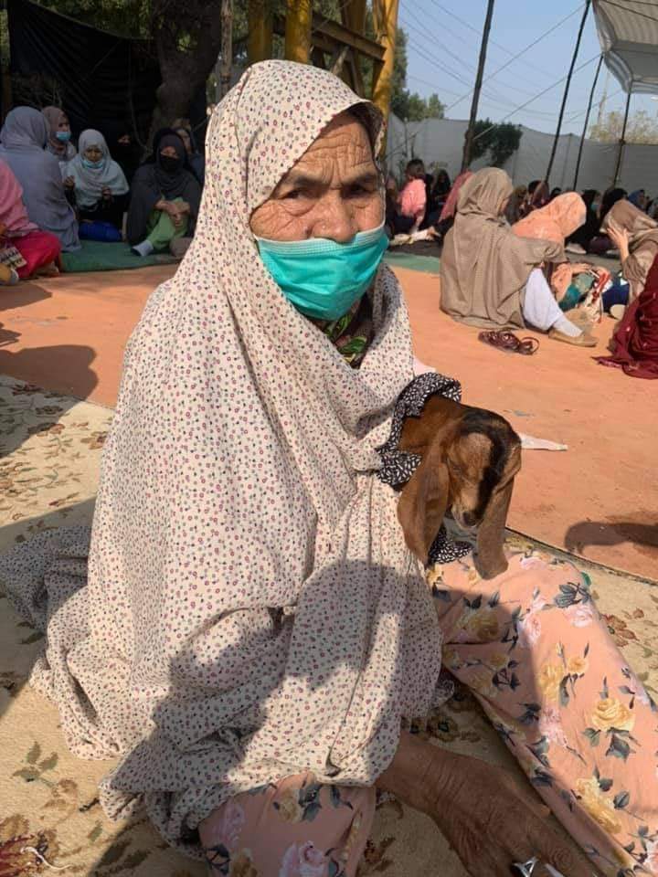 HijabBatool5's tweet photo. This old lady feel about this little goat kid but those Ravenous how brutally slaughtered those hazara community people 
#ArrestKillersOfShiaHazaras #ShiaLivesMatter #ShiaHazaraGenocide #ShiaHazaraCallsPMIK https://t.co/KYHTjRjbMH