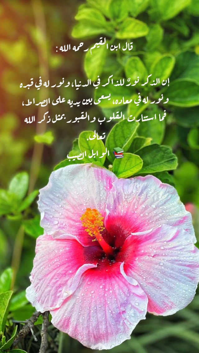 فضلاً وكرماً رتويت وتفضيل 🌸