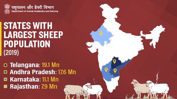  పశు సంపదకు ప్రోత్సాహంతో మాంసోత్పత్తిలో అగ్రస్థానం.A whopping 16.9% increase in the meat production in TS vs National Avg of 6% in 2019TS recorded highest increase (48.5%) & is #1 in terms of sheep population(19Mn) in India #PinkRevolution...(3/5) @KTRTRS  @YadavTalasani