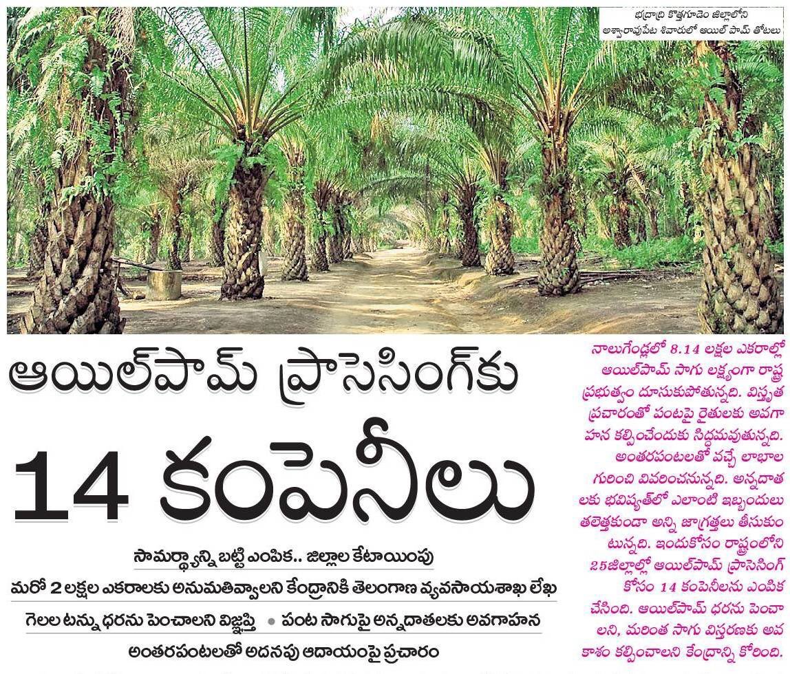 త్వరలో పామాయిల్ వంటి నూనెల ఉత్పత్తిలో, వినియోగంలో తెలంగాణ స్వయం సమృద్ధి దిశగా అడుగులు వేస్తున్నదిWith 50% subsidy provided by TS Govt & completion of  #KLIS, Oil Palm acreage in TS is set to increase from 45,000 acres to ~8 Lakh acres.  #YellowRevolution...(5/5) @KTRTRS