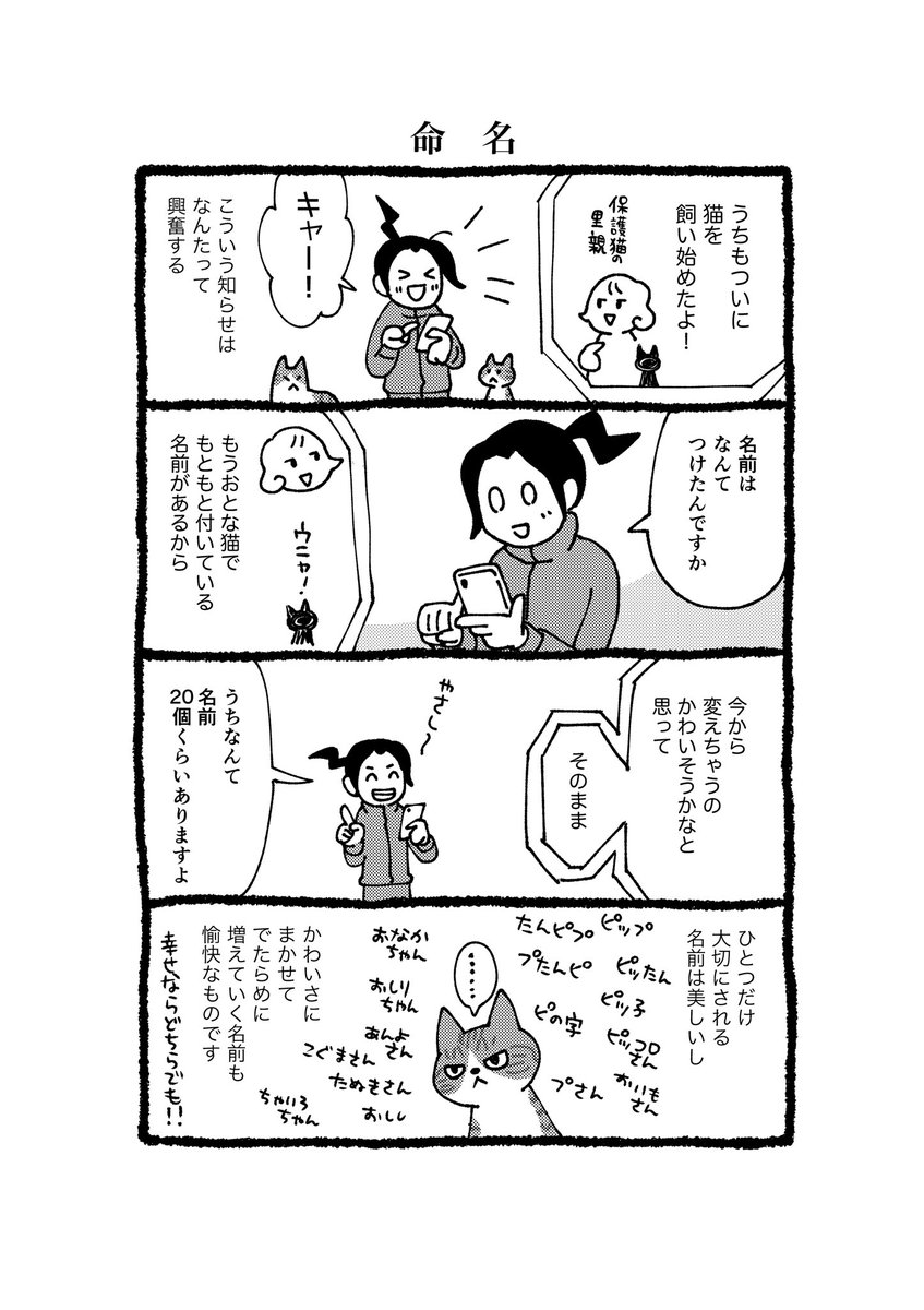 IshideDen's tweet photo. 『命名』

#考える猫遊び https://t.co/kEvpEultSB