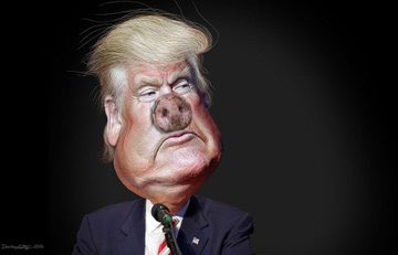 Kevin Kyle is 👀 from 🇦🇺 tweet media