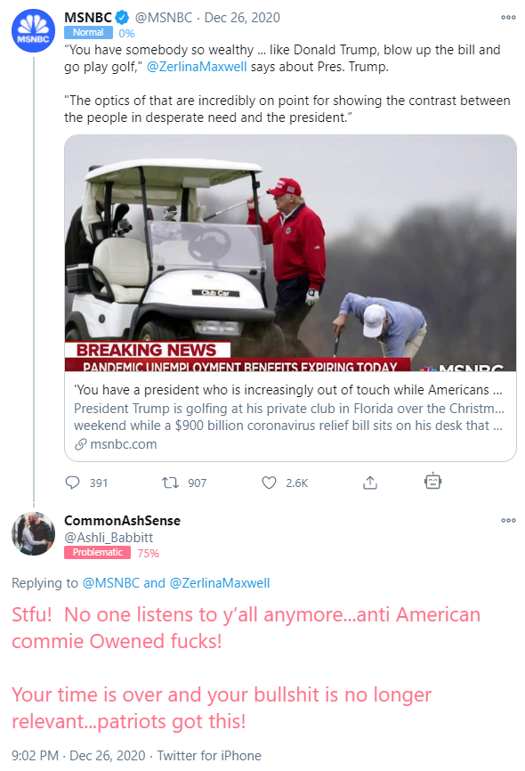 The woman who was shot yesterday had a problematic Bot Sentinel rating. She was a QAnon supporter with disturbing social media posts. Last year, I stated QAnon is a threat to national security and if something isn't done, there would be violence.  https://botsentinel.com/profile/790219543633244160