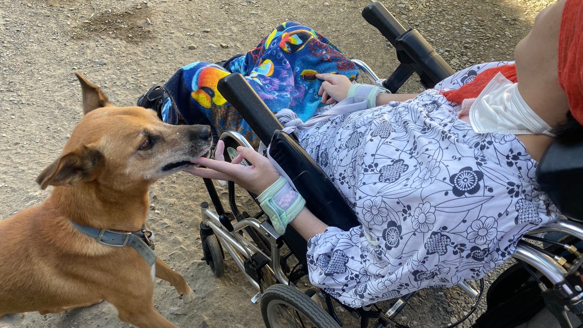 AOJUN_HDJ's tweet photo. My wife loved to take a walk with him.
He never forgot his wife, even after he couldn't take a walk with them.
Also, her wife hadn't forgotten him, so she was relieved to extend her hand.
#HuntingtonDisease #HD #JAPANHD #sybilontour https://t.co/EkiqScIwGv
