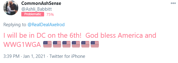 The woman who was shot yesterday had a problematic Bot Sentinel rating. She was a QAnon supporter with disturbing social media posts. Last year, I stated QAnon is a threat to national security and if something isn't done, there would be violence.  https://botsentinel.com/profile/790219543633244160