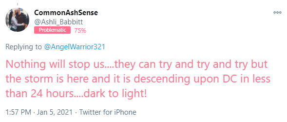 The woman who was shot yesterday had a problematic Bot Sentinel rating. She was a QAnon supporter with disturbing social media posts. Last year, I stated QAnon is a threat to national security and if something isn't done, there would be violence.  https://botsentinel.com/profile/790219543633244160