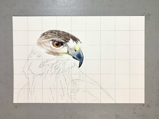 タカのtwitterイラスト検索結果 古い順