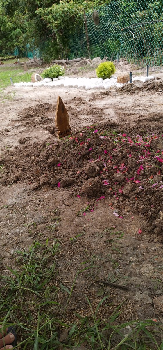 danganumm's tweet photo. Mama seorang yang kuat. Mama dah penat bertarung dengan kesakitan yang Allah bagi. Alhamdulillah mama lepas harungi semuanya. Terima kasih mama segala tunjuk ajar. Adik doakan mama ditempatkan dikalangan orang-orang yang beriman ❤️ > SALASIAH BINTI JAYAH 🙏 https://t.co/yr3Ts7Uk3s