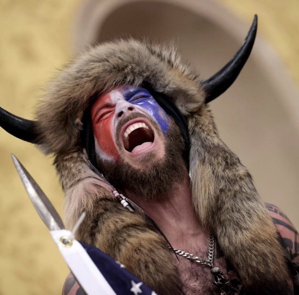 francescoobi's tweet image. Evoluzione della specie. 

#Trump #washingtonprotest #WashingtonDCProtest