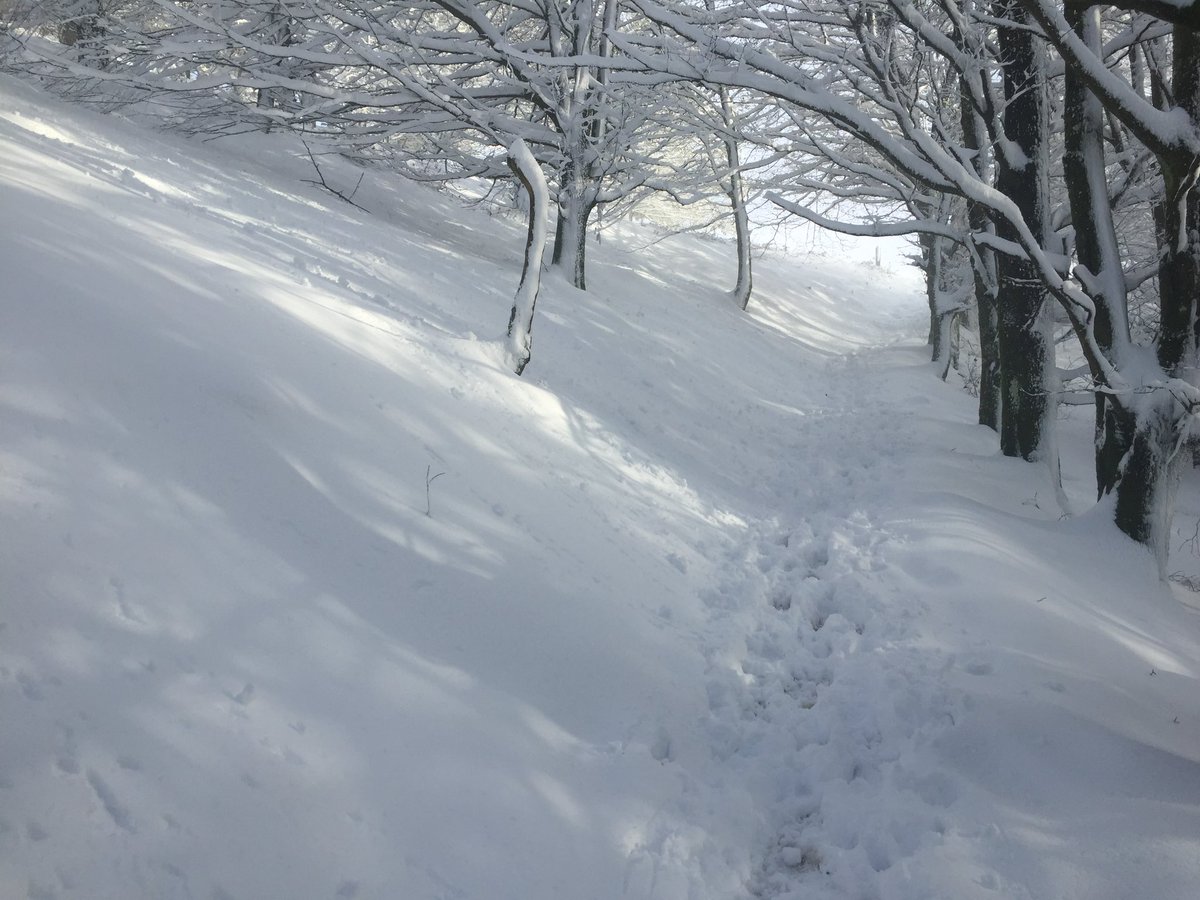 🔺Si cada estación tuviera un color, el invierno sería blanco. Por qué la nieve nos hace tan felices? No está mal para empezar el 2021! 

🔻 Urtaro bakoitzak kolore bat izango balu, negua zuria izango litzateke. Zergatik pozten gaituen hainbeste elurrak. 2021 hasiera ona!