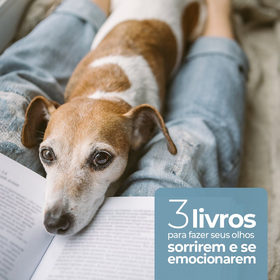 aveovisionbr's tweet photo. Hoje é o Dia do Leitor! Nada melhor do que passar esse dia lendo, não é? 📖 Separamos 3 livros que farão os seus olhos sorrirem e se emocionarem! Coloque suas lentes de contato e prepare-se para embarcar em histórias emocionantes! 🥰 #DicasAveo #DiaDoLeitor #LentesDeContato https://t.co/drT7cWhakd