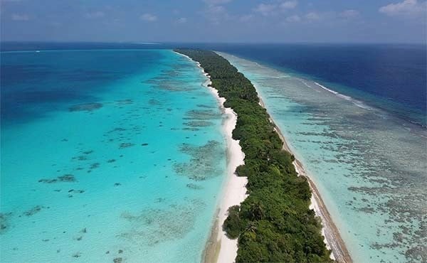 ScubaverseMedia's tweet photo. Virtual Live Dive Event with Boutique Beach Maldives. @diveworldwide has teamed up with Boutique Beach to bring you a taste of the Maldives, the perfect tonic for a lockdown January day!
#dive #travel #Maldives #diving #vitual #tour #DiveWorldwide #online
https://t.co/aCp34V1HVd https://t.co/Kpr4jzeg0N