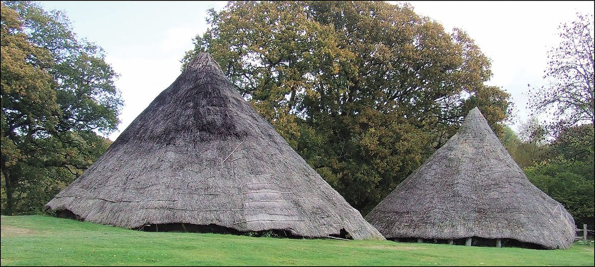 The researchers were investigating the remains of reconstructed Iron Age roundhouses built on the original sites at Castell Henllys Iron Age fort in  @PembsCoast. 2/: The two roundhouses before deconstruction.