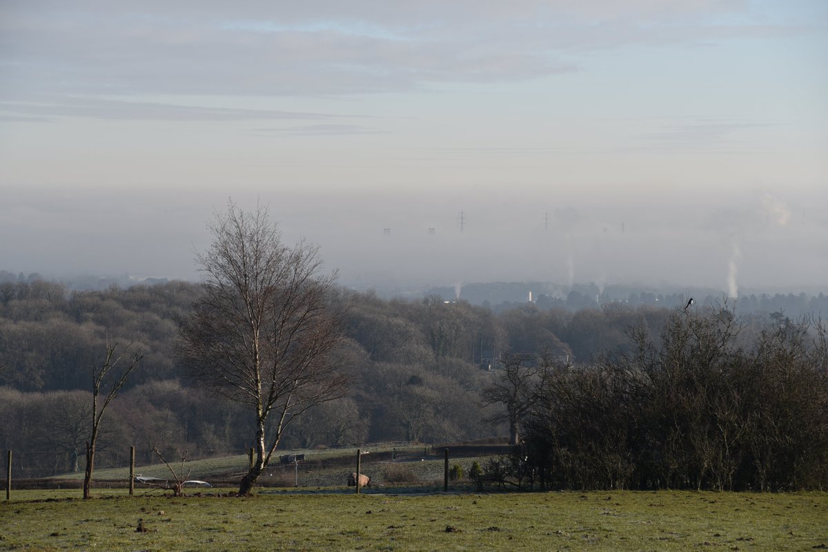 matthewcleeve's tweet image. Crispy -5°C walk this morning! #frosty #subzerotemperatures #newportgwent #wales