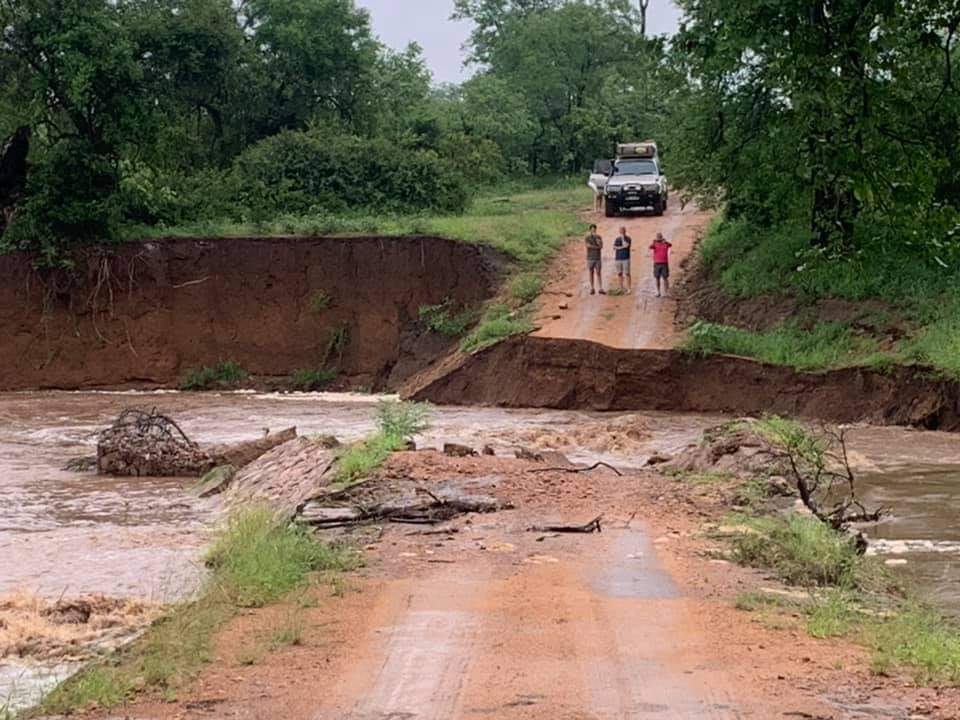 Kruger National Park tweet media