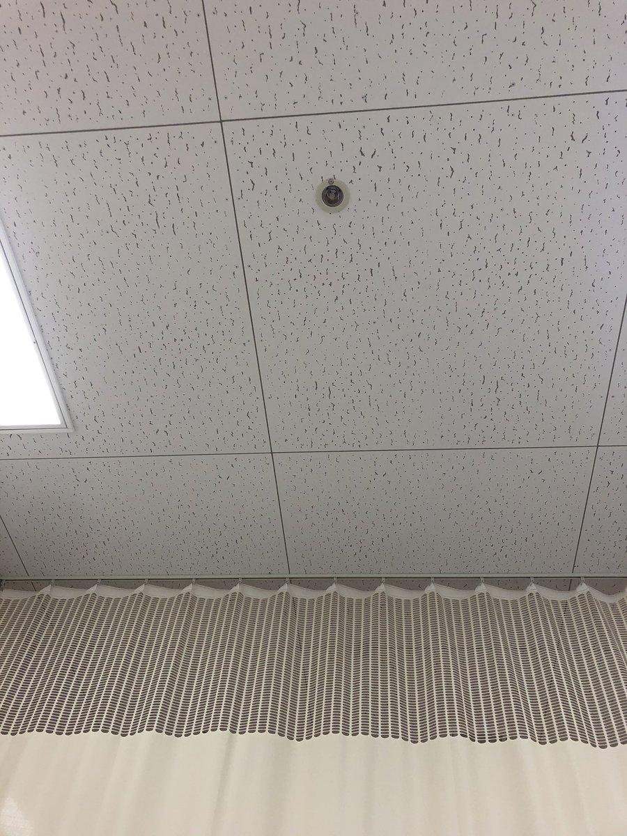 皿屋敷 tweet media