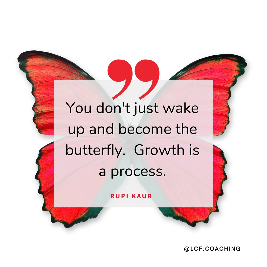 LydiaFernandes's tweet photo. The caterpillar knows.....
#coach #consultant #marketingtips https://t.co/hgu0JrutMi