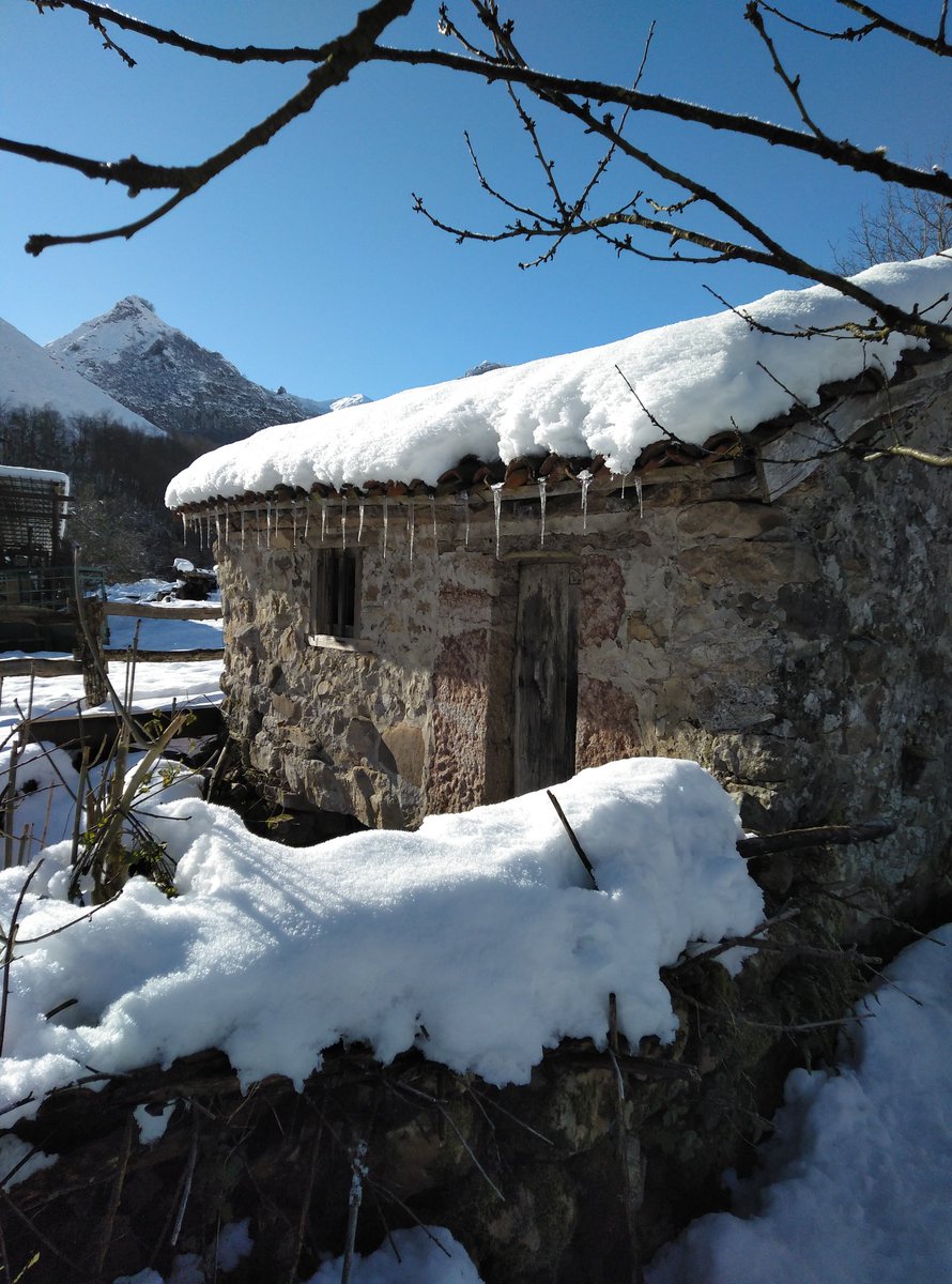 noefdez22's tweet photo. @eltiempotpa  mucho frío en #SotoDeAgues #ParqueNaturalDeRedes. Con sol y a las 13:00 siguen los carámbanos https://t.co/NhJsKHGvea