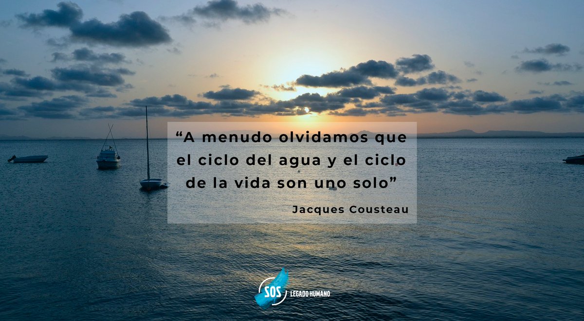 SOSLegadoHumano's tweet photo. "A menudo olvidamos que el ciclo del agua y el ciclo de la vida son uno solo" (Jacques Cousteau, oceanógrafo)

🌊https://t.co/rnpQgnWzSH🐟 
#sosmarmenor #medioambiente #Biología #investigación #cienciasdelmar #Ecología https://t.co/ysKukcMzRM