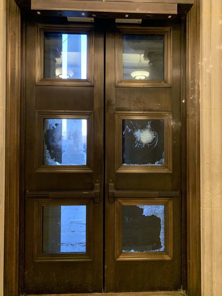 These are the doors to the center steps. Where they first breached the Capitol.They are cast in iron from Italy and moved here in the 1860s or earlier. Double paned glass shattered
