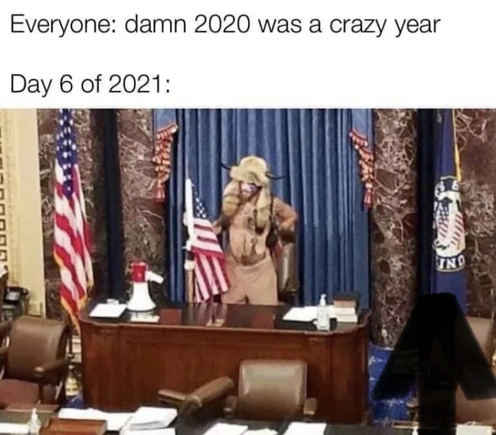 Deichi's tweet photo. BREAKING - Buffallo Guy offiziell vom Electoral College als Präsident bestätigt :D #buffaloguy #potus #weirdamerica #byedon https://t.co/3pS7OXW4xe