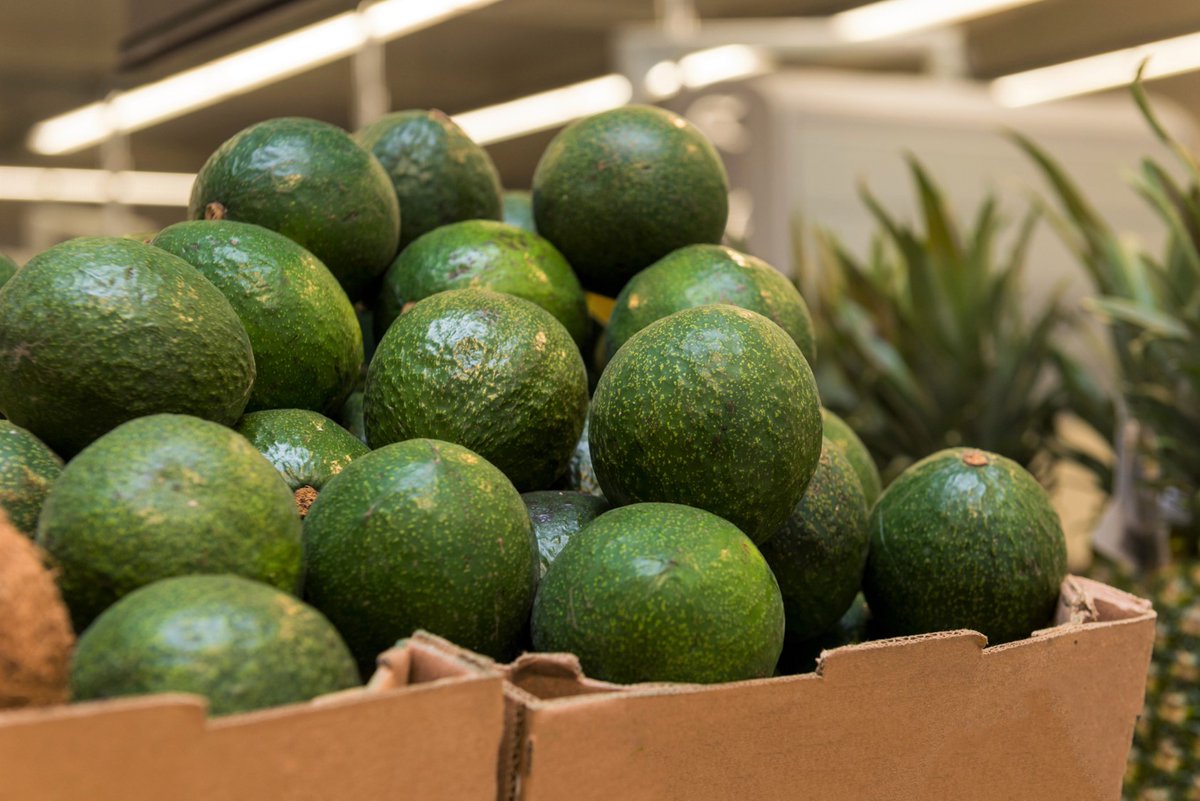VeriGreenLtd's tweet photo. We stopped a customers spoiled avocados from going to landfill and used them to create green energy.
View the blog here to see how we did it:
https://t.co/zsUt2WVtd8
#VeriGreen #recycling #foodrecycling #zerotolandfill #closedloop #wastemanagement #greenwaste https://t.co/dmXtbVFnmP