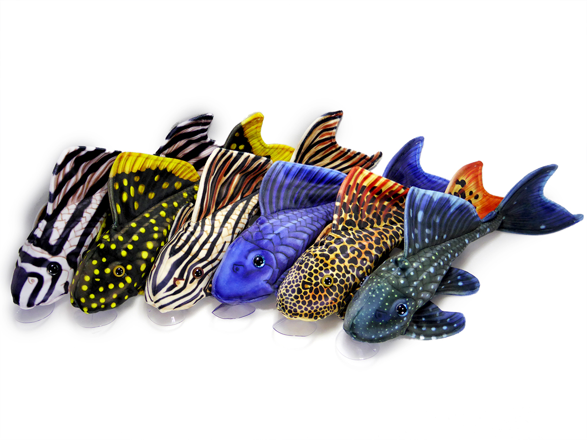 palaeoplushies's tweet photo. WHAT'S THIS???? It's PlecO'Clock https://t.co/LARA2VKTFr https://t.co/kP7yEsLIBR