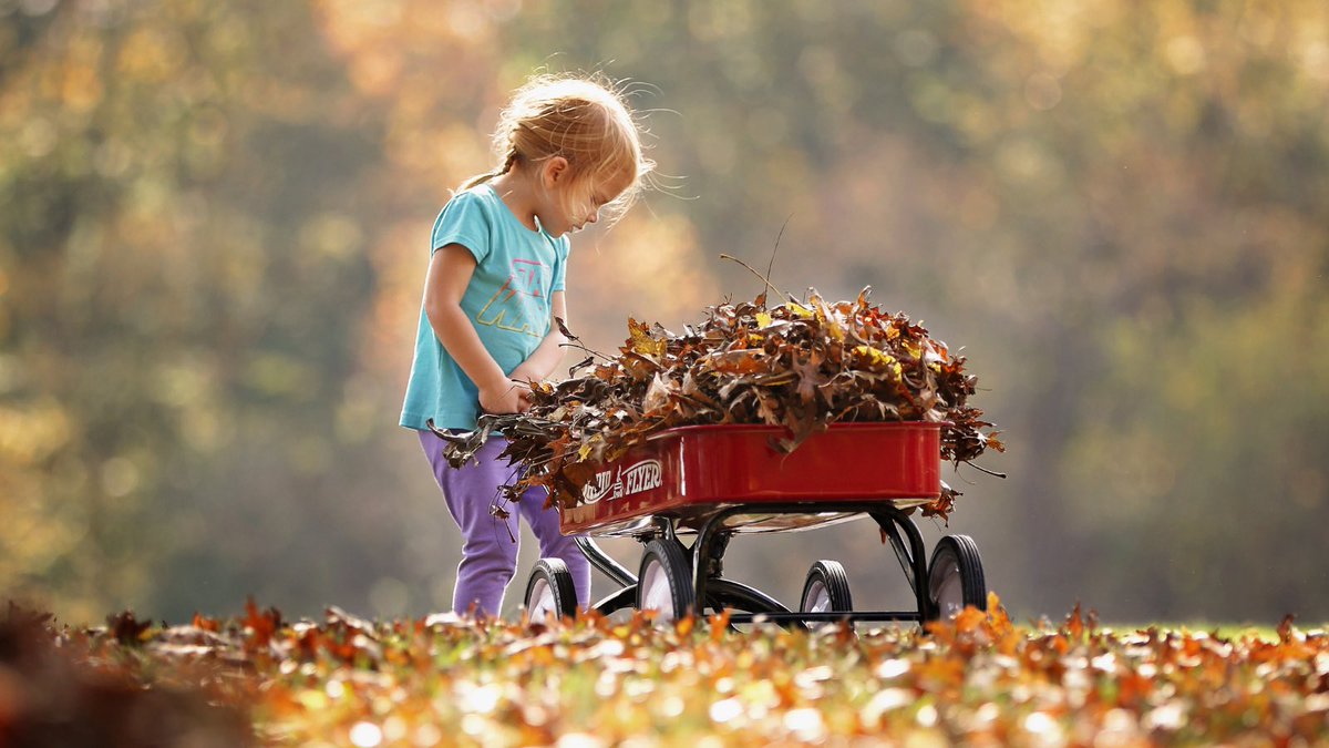 Flexibility If your way is the only way, others will feel stifled.Destroy your expectations of others.They can only be themselves.Seek to coexist, not control.