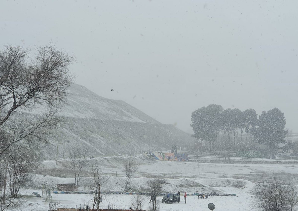 Asociación Tabadol. #CañadaReal tweet media