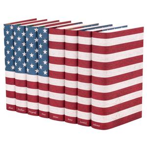 Let's sanction meaningfully enemies of democracy, end this narrative and write America's best forthcoming chapter. We must live our values. Truth trumps rhetoric.  Integrity trumps spin. Empathy trumps hate. We must open our eyes and act pragmatically to commit to real reform.