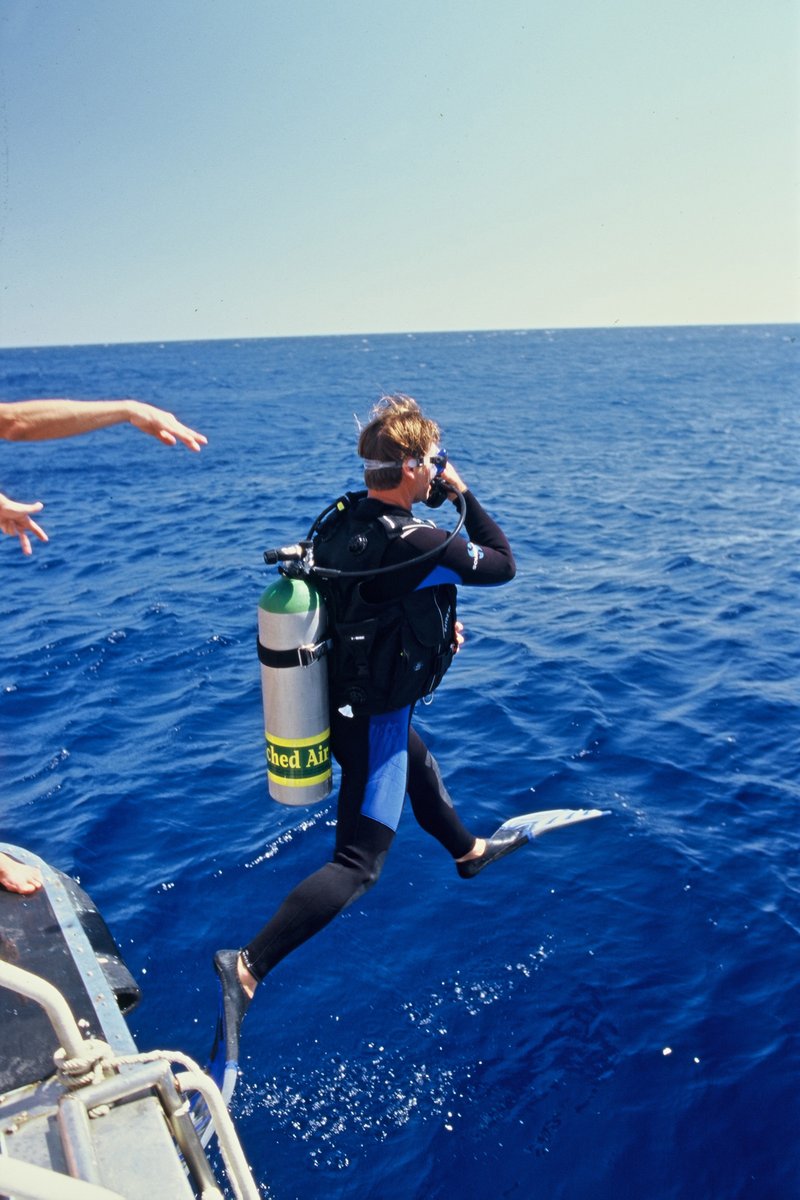 Ferruccio Arseni tweet media