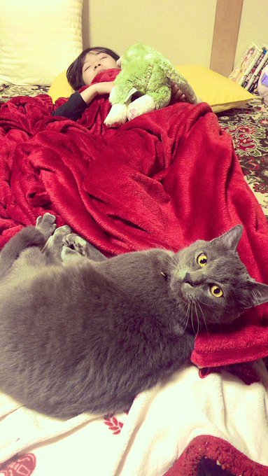 Twitterのコスプレ画像36