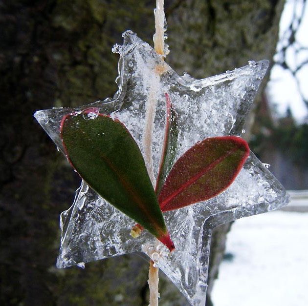 Crosscrake CE School tweet media