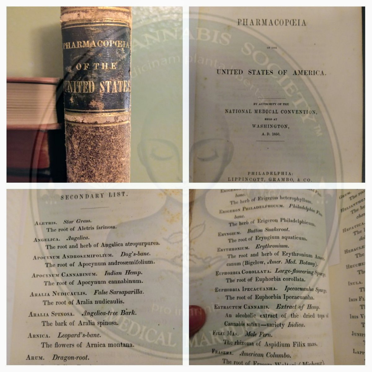 Did you know... back in 1850 the terms #Cannabis , #Hemp , #Sativa and #Indica were first introduced to #ModernMedicine through the Pharmacopeia of The United States. Cannabis has Always! been medicine. This book is 170yrs old #TBT