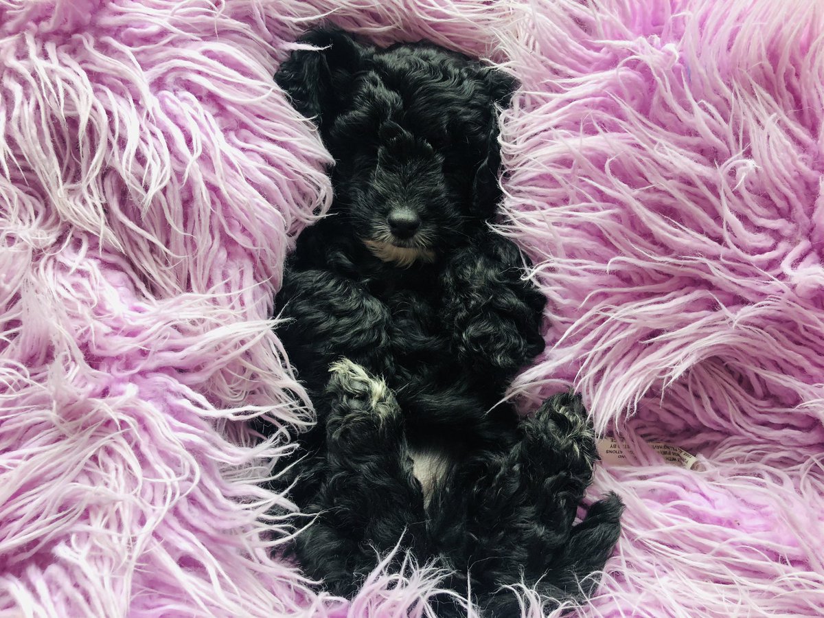 Martin Yelling tweet media