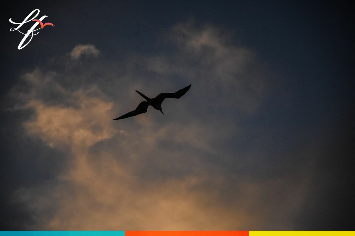 Buenos días a todos.
Hay postales incomparables en cada momento y sitio de nuestro municipio, como los bellos amaneceres.
#FelizJueves 
#PuertoMorelos
#EvolucionaConRumbo