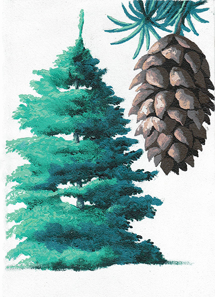 Here is the beautiful Blue Spruce tree for <a href="/CultureBox/">CultureBox study</a> #1 painted by artist Martin Jordan #BringingTheOutsideIn #CultureBox #Nature #dementia #ArtsandHealth #Trees