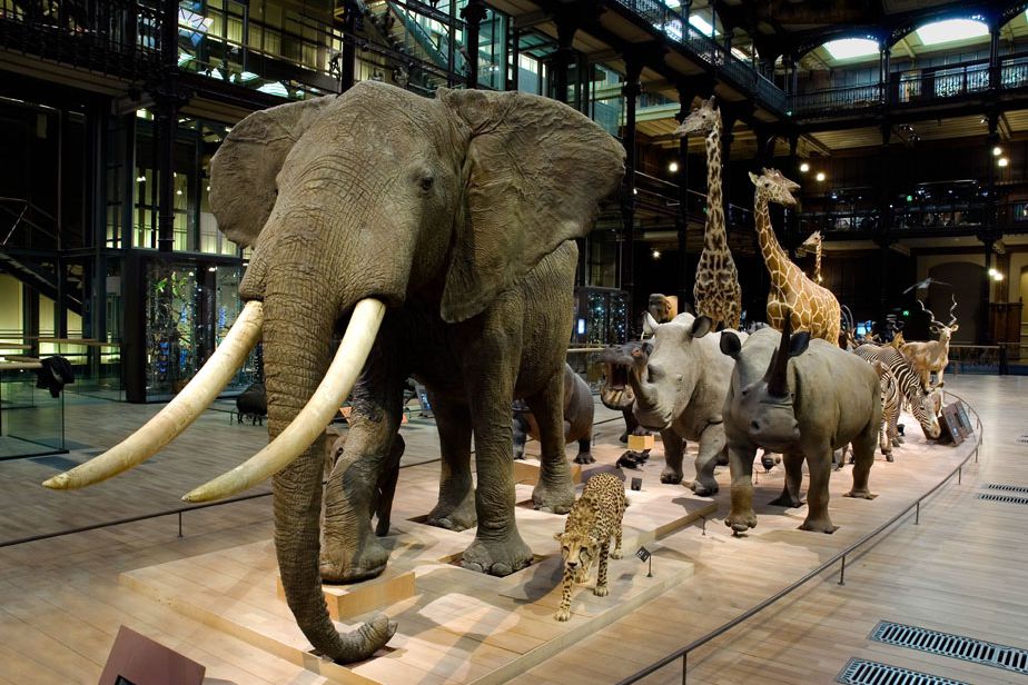 Seberban tweet media