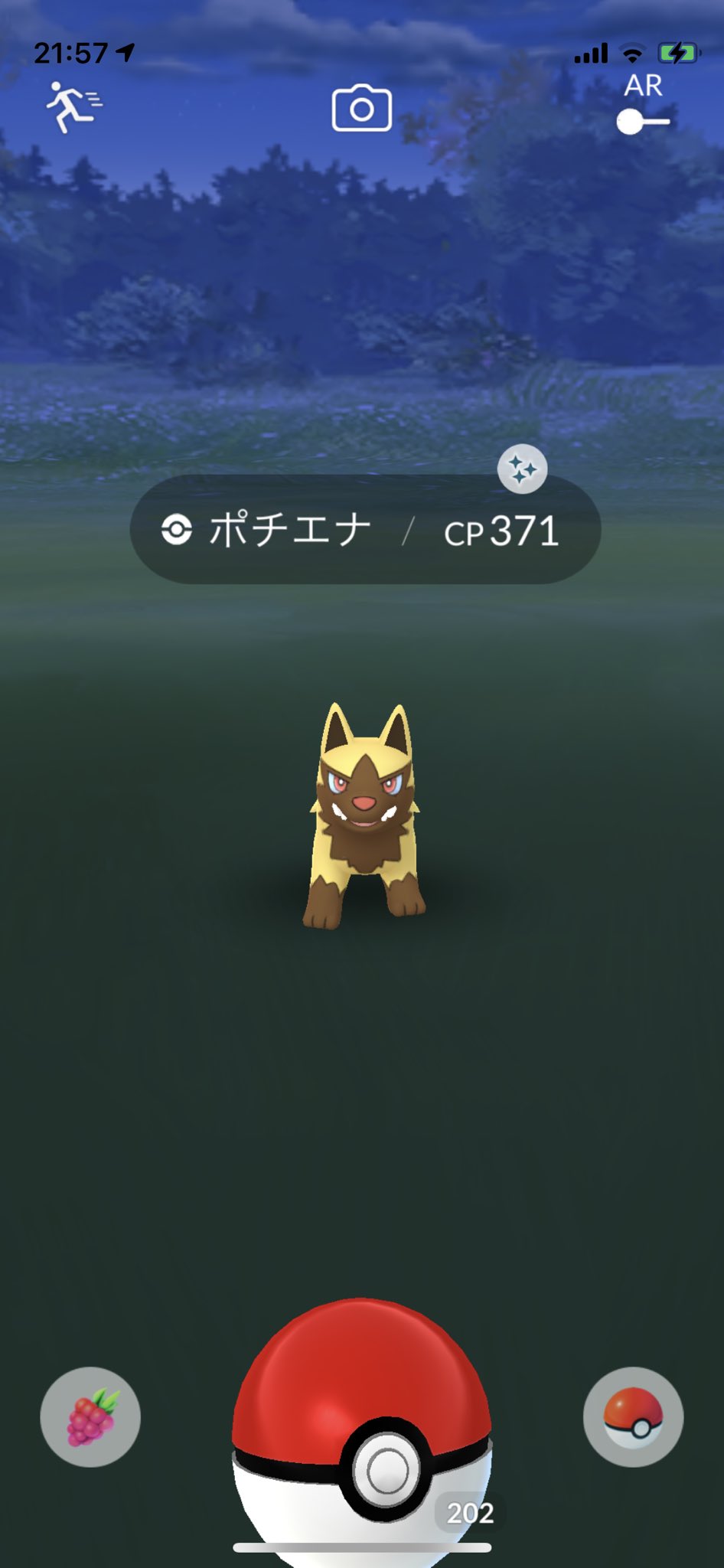ポチエナ色違い Twitter Search Twitter