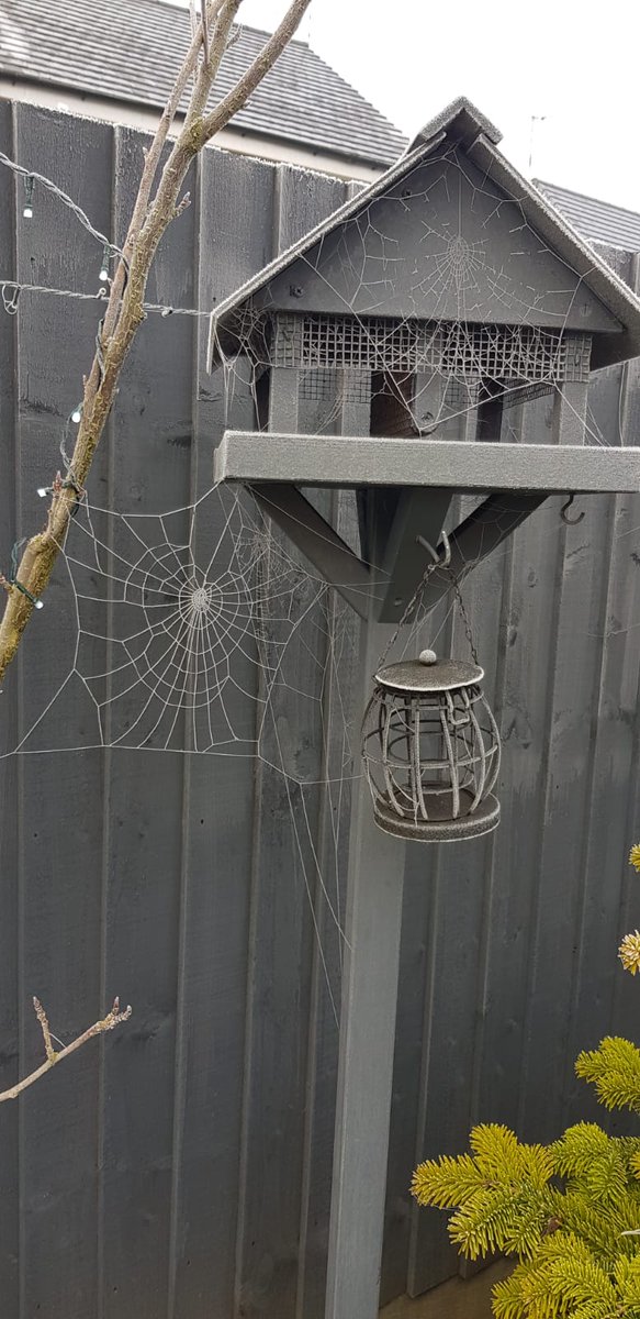 DavidNe43096753's tweet image. The Web!
#scriptforajesterstear