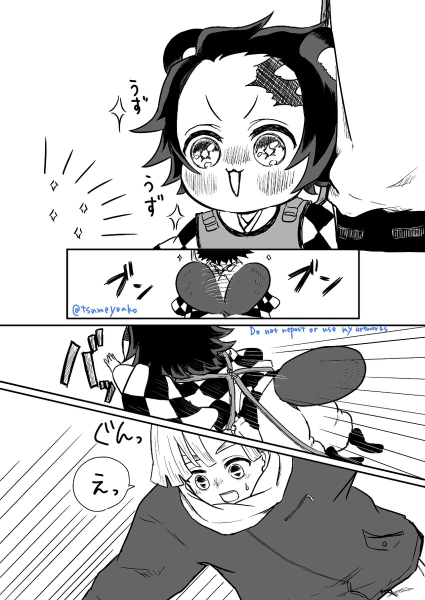 冬のたぬ 