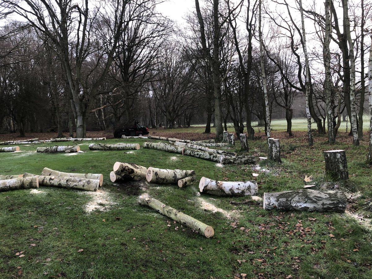 slater3ns's tweet photo. A good mornings work removing a line of trees encroaching onto the the back of the 3rd tee, tidy job by the lads. More light and air movement now to help the tee go from strength to strength @WestHertsGC @WHGCgreenkeeper #workgoeson #improvement #teamwork https://t.co/GJitQalHDu