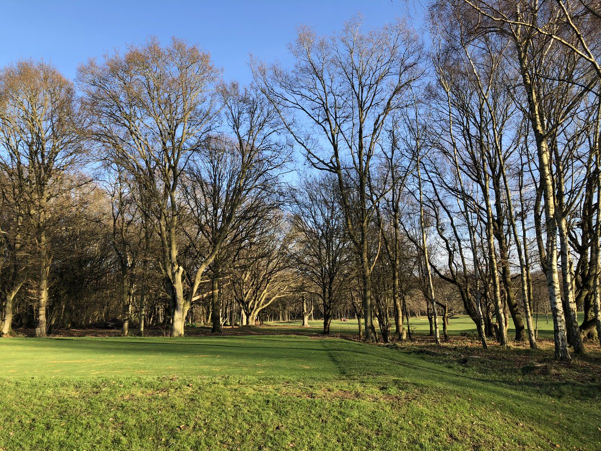 slater3ns's tweet photo. A good mornings work removing a line of trees encroaching onto the the back of the 3rd tee, tidy job by the lads. More light and air movement now to help the tee go from strength to strength @WestHertsGC @WHGCgreenkeeper #workgoeson #improvement #teamwork https://t.co/GJitQalHDu