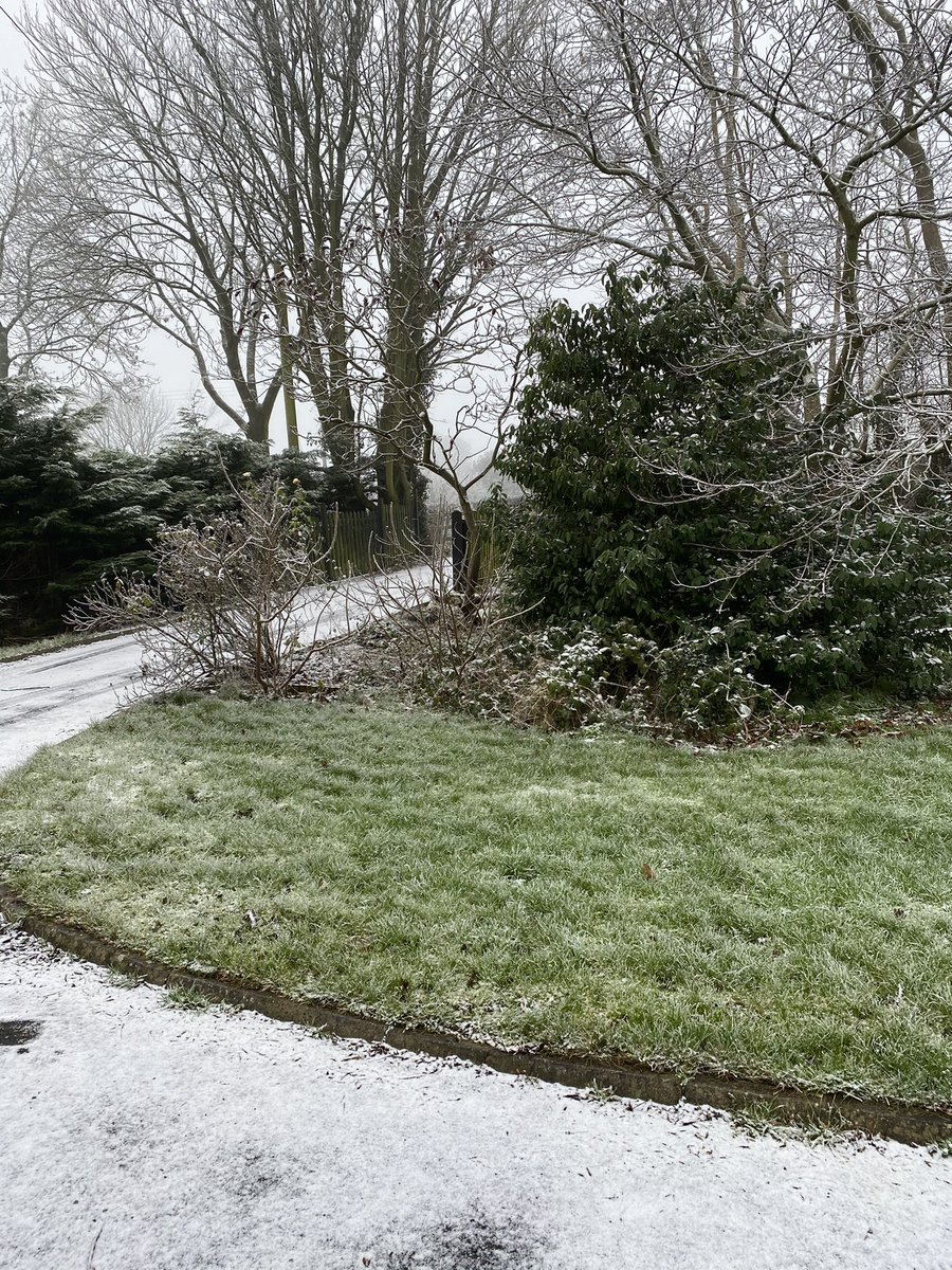 jay_c_rua's tweet photo. #100daysofwalking #day7 #snowday https://t.co/I6GZEYQim7