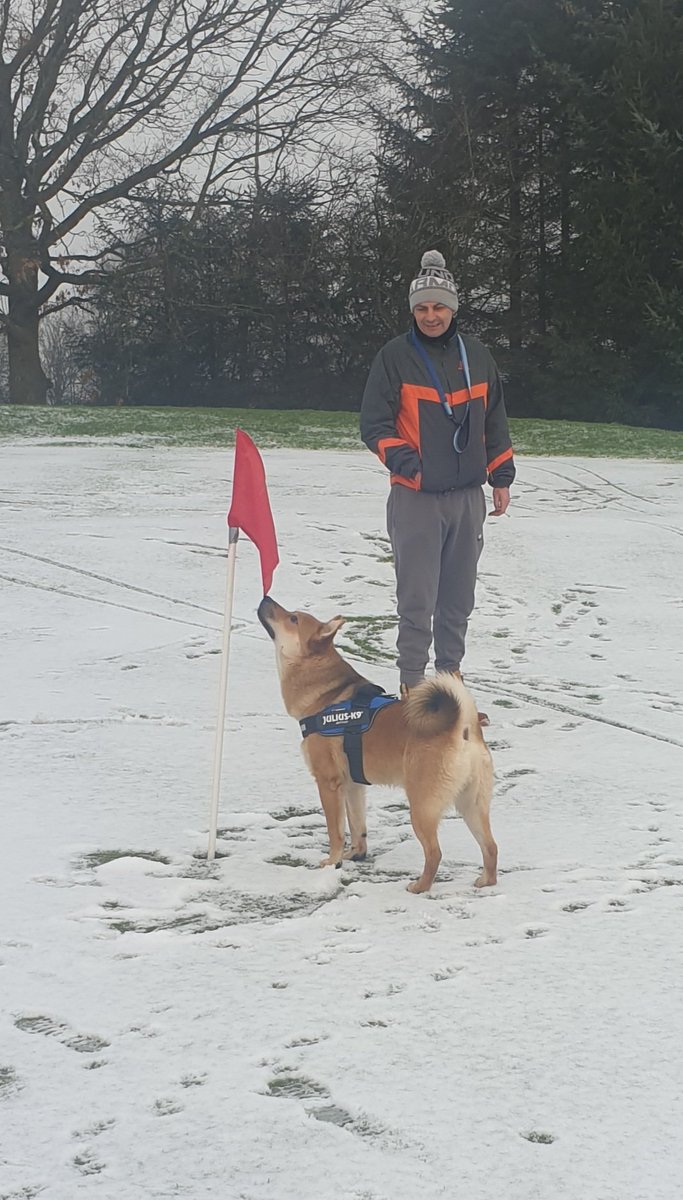 jennieg1111's tweet photo. #snowday #winterwalk #DogsofTwittter #rescuedog https://t.co/Op7iLxH6kn